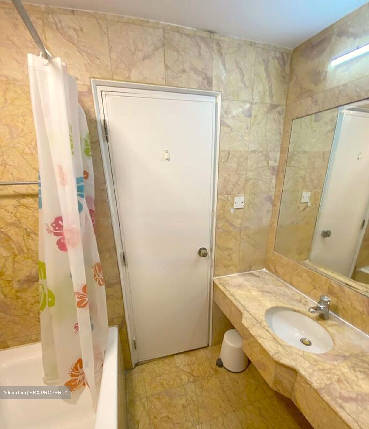Nineteen Shelford Road (D11), Condominium #479458631